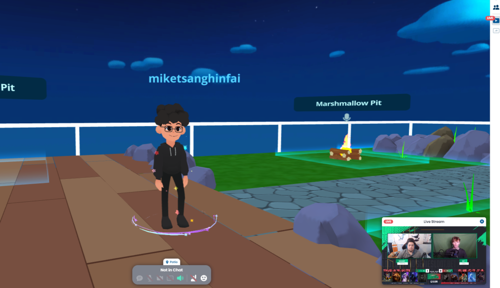 A sample of how to pull up the livestream in the Gamerjibe interface