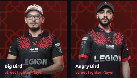 Big Bird and Angry Bird