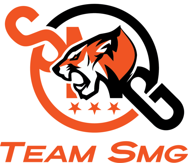 Team SMG are knocked out from the TI10 SEA Qualifier