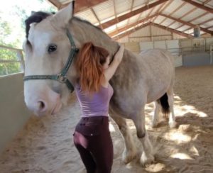 Amouranth rides her horses in wholesome Twitch stream – Esports