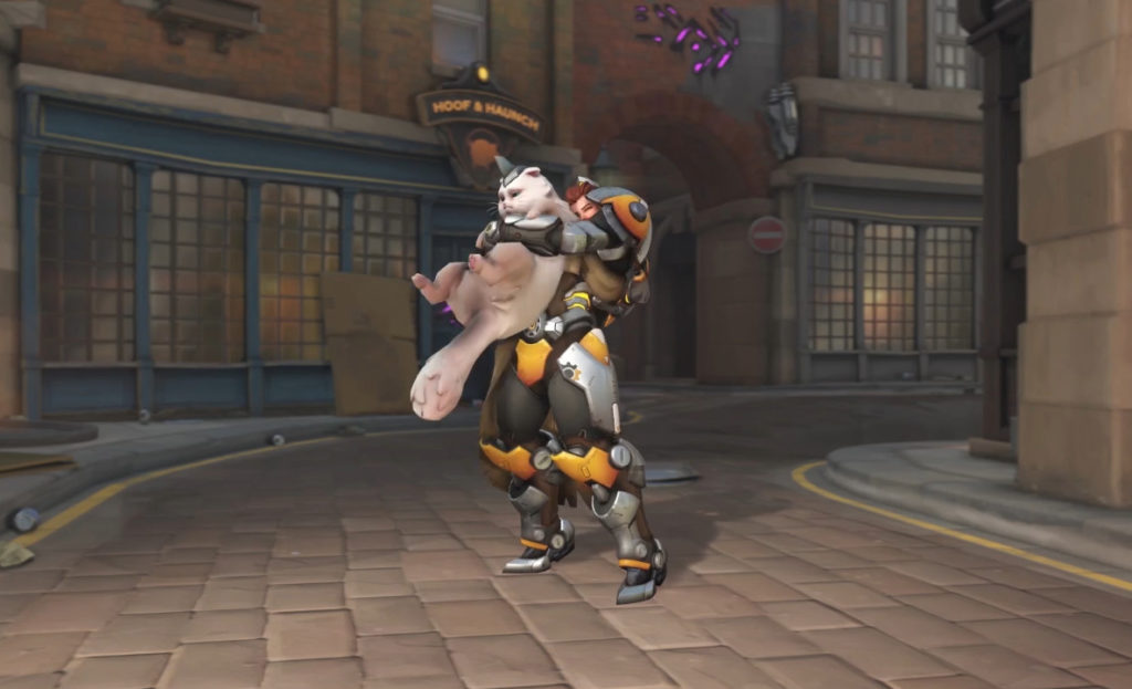 Brigitte and Jetpack Cat in Overwatch.